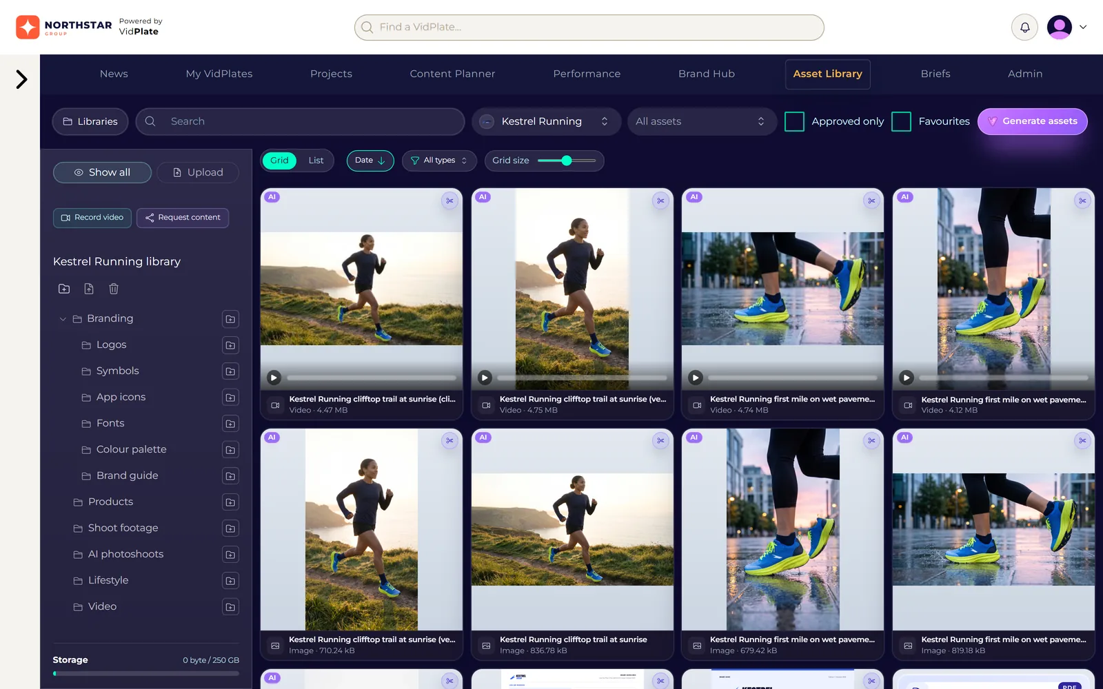 VidLibrary in the VidPlate demonstration workspace